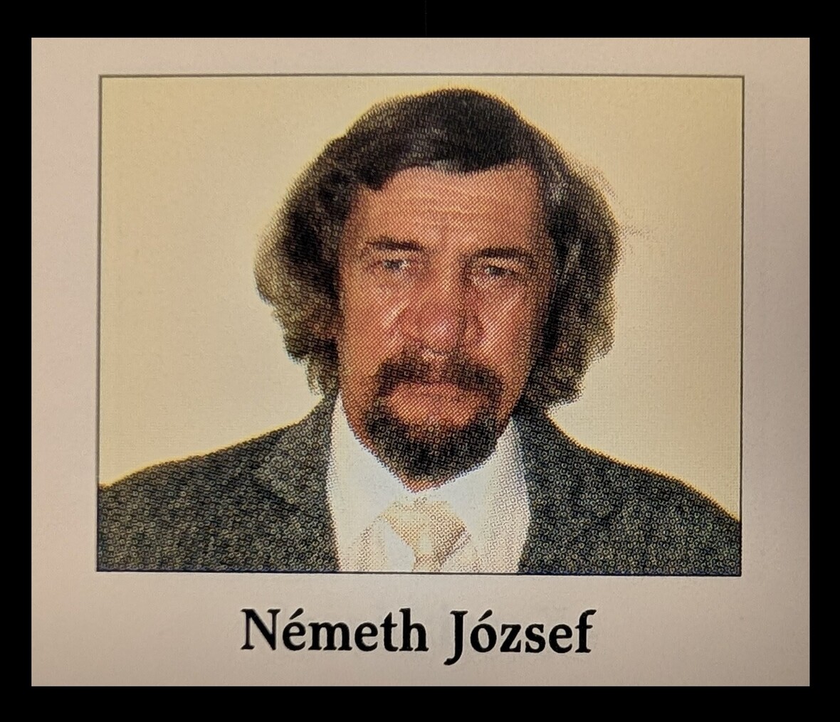 Németh József kép próba