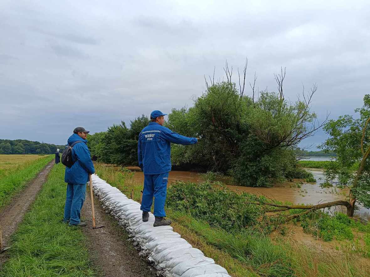 OMIT sajtóközlemény (június 11.)